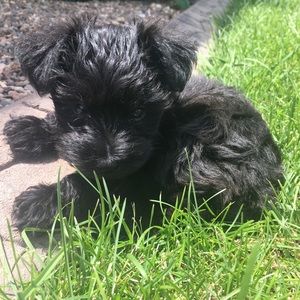 Meet your Posher, Ellie